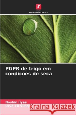 PGPR de trigo em condições de seca Ilyas, Noshin, Til Vusqa, Urva 9786137565544 Edições Nosso Conhecimento - książka