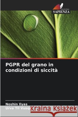PGPR del grano in condizioni di siccità Ilyas, Noshin, Til Vusqa, Urva 9786137551493 Edizioni Sapienza - książka
