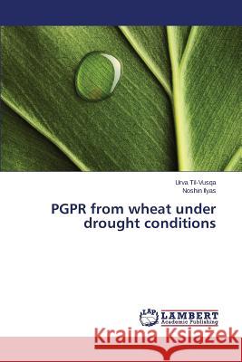 PGPR from wheat under drought conditions Til-Vusqa Urva                           Ilyas Noshin 9783659406676 LAP Lambert Academic Publishing - książka