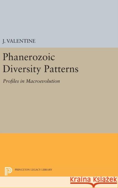 Phanerozoic Diversity Patterns: Profiles in Macroevolution J. Valentine 9780691639246 Princeton University Press - książka