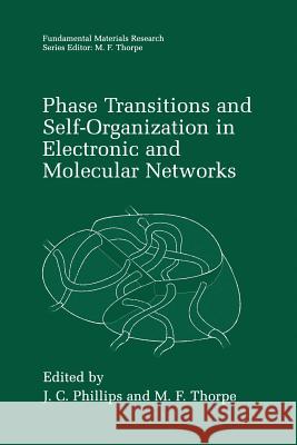 Phase Transitions and Self-Organization in Electronic and Molecular Networks J. C. Phillips M. F. Thorpe 9781475787023 Springer - książka