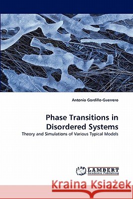 Phase Transitions in Disordered Systems Antonio Gordillo-Guerrero 9783838395760 LAP Lambert Academic Publishing - książka
