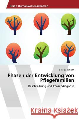 Phasen der Entwicklung von Pflegefamilien Bachmann Beat 9783639470185 AV Akademikerverlag - książka