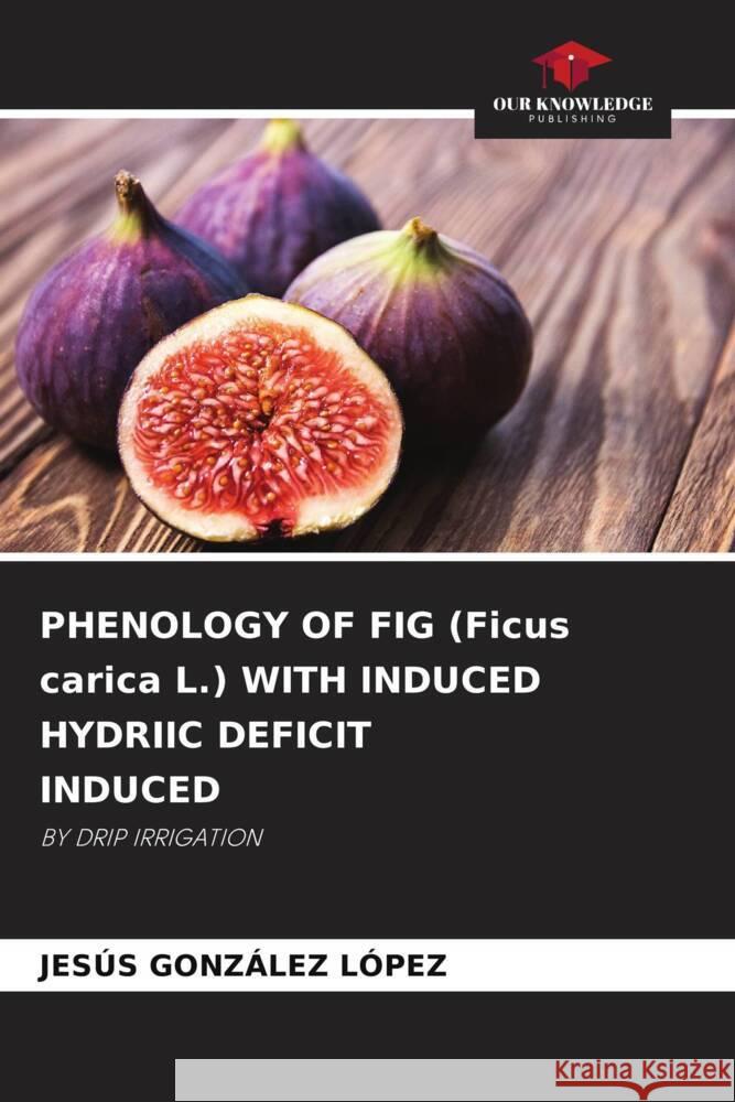 PHENOLOGY OF FIG (Ficus carica L.) WITH INDUCED HYDRIIC DEFICIT INDUCED GONZÁLEZ LÓPEZ, JESÚS 9786208300487 Our Knowledge Publishing - książka