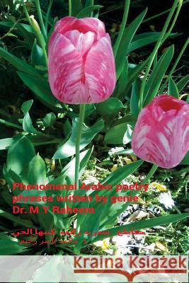 Phenomenal Arabic Poetry Phrases Written by Genie Dr M. y. Raheem 9781547010134 Createspace Independent Publishing Platform - książka