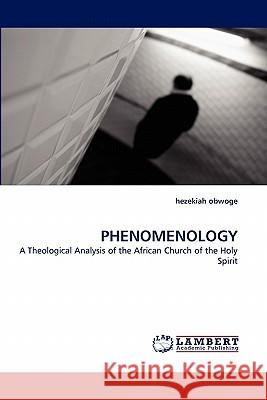 Phenomenology  9783838374536 LAP Lambert Academic Publishing AG & Co KG - książka