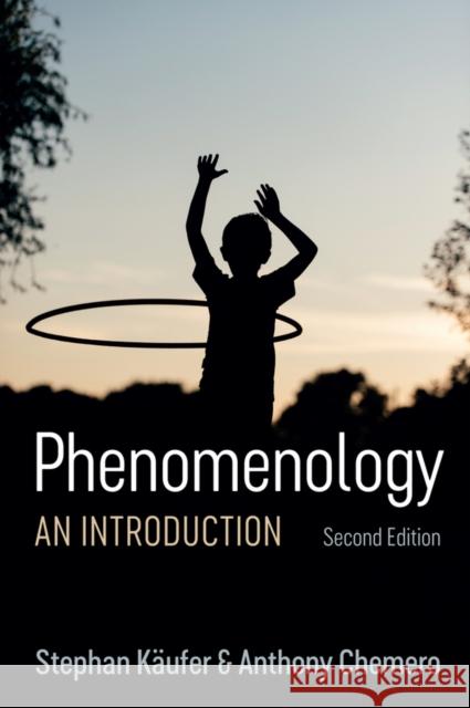Phenomenology: An Introduction Käufer, Stephan 9781509540655 Polity Press - książka