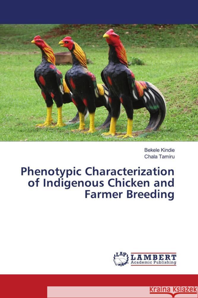 Phenotypic Characterization of Indigenous Chicken and Farmer Breeding Kindie, Bekele, Tamiru, Chala 9786203926330 LAP Lambert Academic Publishing - książka