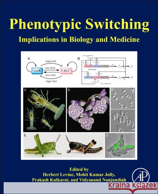 Phenotypic Switching: Implications in Biology and Medicine Herbert Levine Mohit Kumar Jolly Prakash Kulkarni 9780128179963 Academic Press - książka