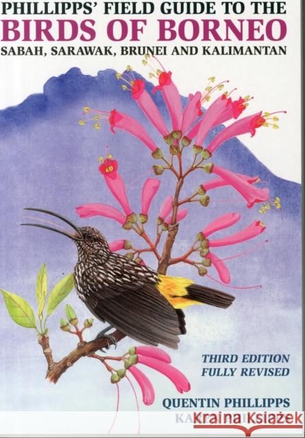 Phillipps' Field Guide to the Birds of Borneo Quentin Phillipps 9781909612150 John Beaufoy Publishing Ltd - książka