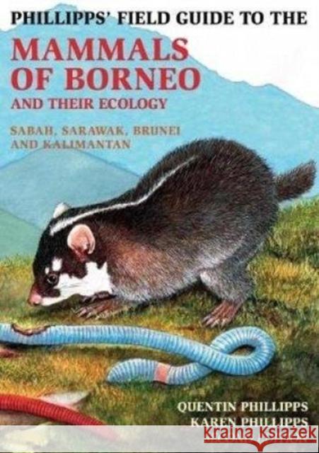 Phillipps Field Guide to the Mammals of Borneo (2nd edition) Quentin Phillipps 9781912081950 John Beaufoy Publishing Ltd - książka