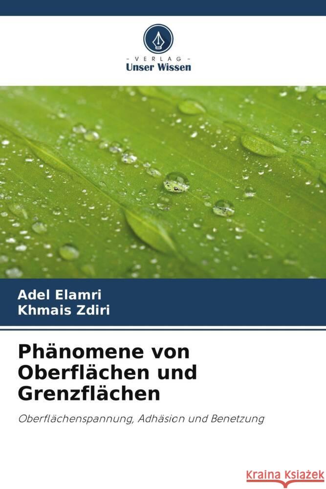 Ph?nomene von Oberfl?chen und Grenzfl?chen Adel Elamri Khmais Zdiri 9786207430833 Verlag Unser Wissen - książka