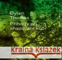 Příhody při shazování kůží Martin Pokorný 9788087705704 RUBATO - książka