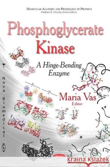 Phosphoglycerate Kinase: A Hinge-Bending Enzyme Maria Vas 9781628088366 Nova Science Publishers Inc - książka