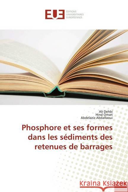 Phosphore et ses formes dans les sédiments des retenues de barrages Dehbi, Ali; Omari, Hind; Abdallaoui, Abdelaziz 9786138425311 Éditions universitaires européennes - książka