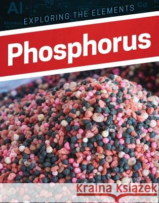 Phosphorus Jeff Mapua 9781978503687 Enslow Publishing - książka