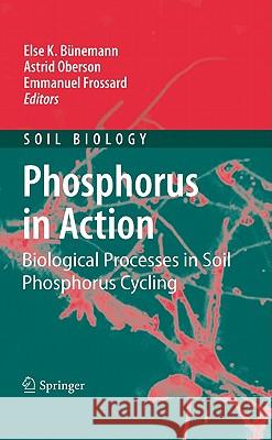 Phosphorus in Action: Biological Processes in Soil Phosphorus Cycling Bünemann, Else K. 9783642152702 Not Avail - książka
