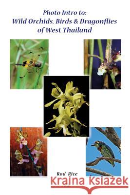 Photo Intro to: Wild Orchids, Birds & Dragonflies of West Thailand Rod Rice 9780987620620 Nature & Travel Books - książka