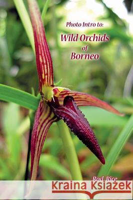 Photo Intro to: Wild Orchids of Borneo Rod Rice 9780987620613 Nature & Travel Books - książka