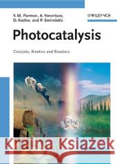 Photocatalysis Valentin Nikolaevich Parmon Alexander V. Vorontsov Denis Kozlov 9783527317844 Wiley-VCH Verlag GmbH - książka