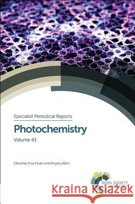 Photochemistry: Volume 43 Elisa Fasani Angelo Albini Angelo Albini 9781782621256 Royal Society of Chemistry - książka
