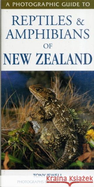 Photographic Guide To Reptiles & Amphibians Of New Zealand T Jewell & R Morris 9781869662035 Upstart Press Ltd - książka