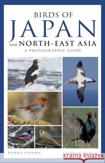 Photographic Guide to the Birds of Japan and North-east Asia Tadao Shimba 9781472947246 Bloomsbury Publishing PLC - książka