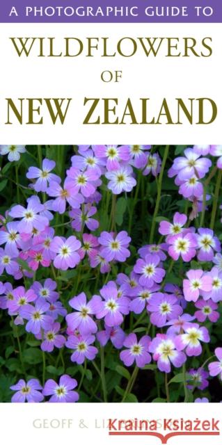 Photographic Guide To Wildflowers Of New Zealand Geoff & Liz Brunsden 9781869660475 Upstart Press Ltd - książka