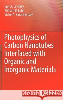 Photophysics of Carbon Nanotubes Interfaced with Organic and Inorganic Materials Igor A. Levitsky William B. Euler Victor A. Karachevtsev 9781447148258 Springer - książka