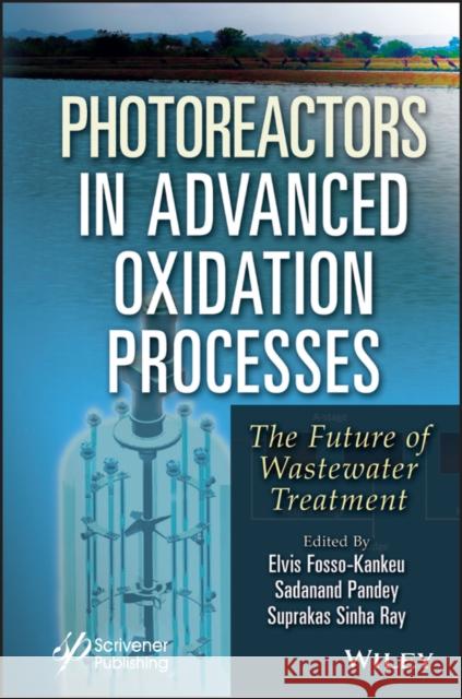 Photoreactors in Advanced Oxidation Process: The Future of Wastewater Treatment Elvis Fosso-Kankeu Sadanand Pandey Suprakas Sinha Ray 9781394166299 Wiley-Scrivener - książka