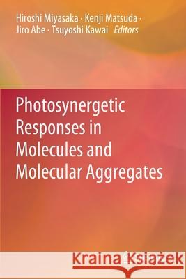 Photosynergetic Responses in Molecules and Molecular Aggregates  9789811554537 Springer Singapore - książka