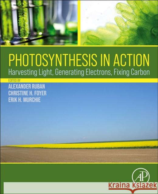 Photosynthesis in Action Alexander Ruban Christine Foyer Erik Murchie 9780128237816 Academic Press - książka