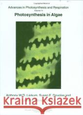 Photosynthesis in Algae Anthony W. D. Larkum Susan E. Douglas John A. Raven 9780792363330 Kluwer Academic Publishers - książka