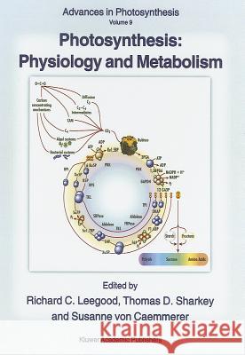 Photosynthesis: Physiology and Metabolism Richard C. Leegood Thomas D. Sharkey Susanne Vo 9780792361435 Kluwer Academic Publishers - książka