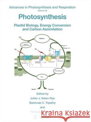 Photosynthesis: Plastid Biology, Energy Conversion and Carbon Assimilation Eaton-Rye, Julian J. 9789400715783 Not Avail - książka