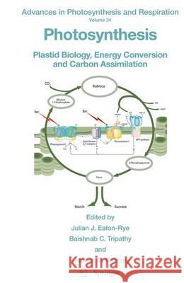 Photosynthesis: Plastid Biology, Energy Conversion and Carbon Assimilation Eaton-Rye, Julian J. 9789402404791 Springer - książka