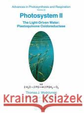 Photosystem II: The Light-Driven Water: Plastoquinone Oxidoreductase Wydrzynski, T. 9781402042492 Springer - książka