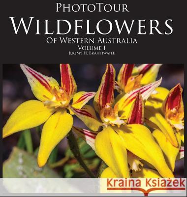 PhotoTour Wildflowers of Western Australia Vol1: A photographic journey through a natural kaleidoscope Jeremy H Braithwaite 9780987621603 Jeremy Braithwaite - książka