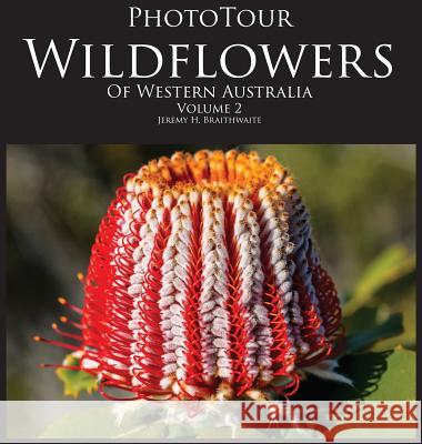 PhotoTour Wildflowers of Western Australia Vol2: A photographic journey through a natural kaleidoscope Jeremy H Braithwaite 9780987621610 Jeremy Braithwaite - książka