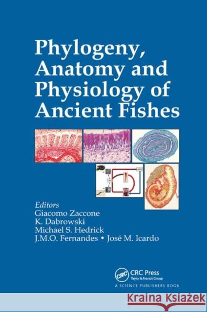 Phylogeny, Anatomy and Physiology of Ancient Fishes Giacomo Zaccone Konrad Dabrowski Michael S. Hedrick 9780367377526 CRC Press - książka