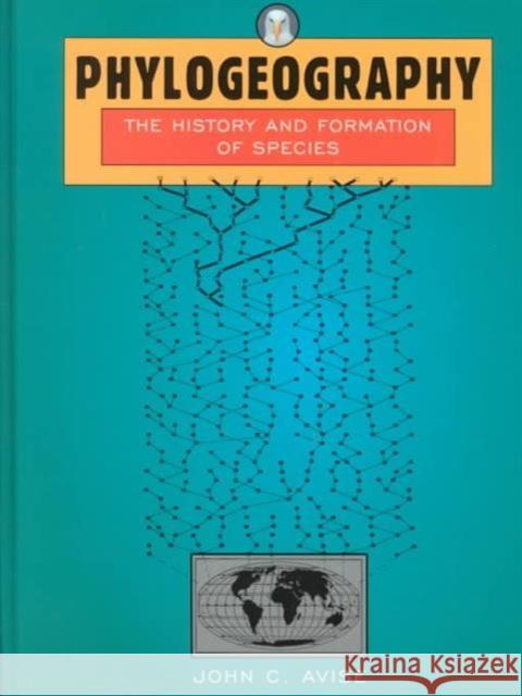 Phylogeography: The History and Formation of Species Avise, John C. 9780674666382 Harvard University Press - książka