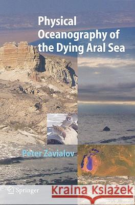 Physical Oceanography of the Dying Aral Sea Peter O. Zavialov 9783540228912 Springer-Verlag Berlin and Heidelberg GmbH &  - książka