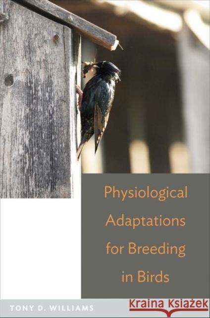 Physiological Adaptations for Breeding in Birds  Williams 9780691139821 PRINCETON UNIVERSITY PRESS - książka