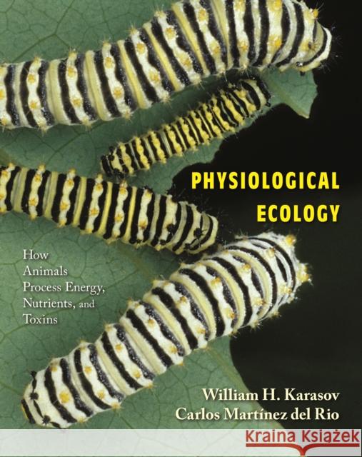 Physiological Ecology: How Animals Process Energy, Nutrients, and Toxins Karasov, William H. 9780691074535 Princeton University Press - książka