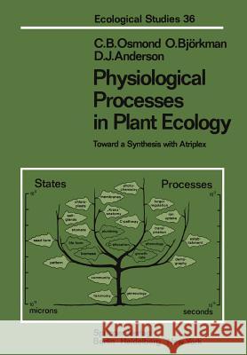 Physiological Processes in Plant Ecology: Toward a Synthesis with Atriplex Osmond, C. B. 9783642676390 Springer - książka