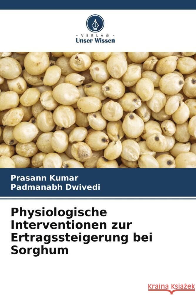 Physiologische Interventionen zur Ertragssteigerung bei Sorghum Prasann Kumar Padmanabh Dwivedi 9786207356881 Verlag Unser Wissen - książka