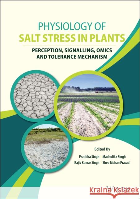 Physiology of Salt Stress in Plants: Perception, Signalling, Omics and Tolerance Mechanism Pratibha Singh Madhulika Singh Rajiv Kumar Singh 9781119700470 Wiley - książka