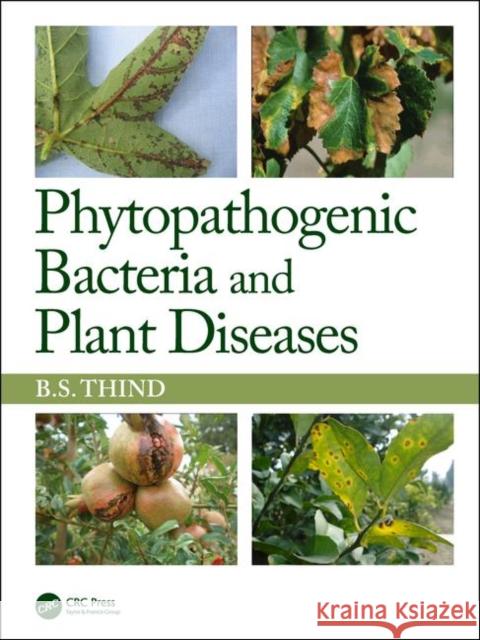 Phytopathogenic Bacteria and Plant Diseases Bs Thind 9780367197155 CRC Press - książka