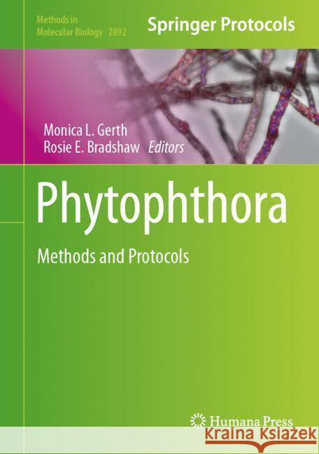 Phytophthora: Methods and Protocols Monica L. Gerth Rosie E. Bradshaw 9781071643297 Humana - książka