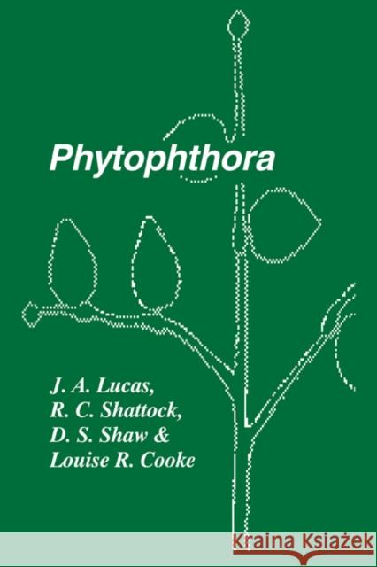Phytophthora: Symposium of the British Mycological Society, the British Society for Plant Pathology and the Society of Irish Plant P Lucas, J. A. 9780521189767 Cambridge University Press - książka
